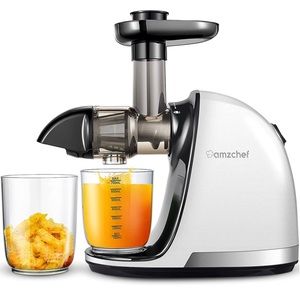 AMZCHEF Slow Masticating Juicer